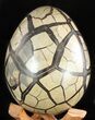 Septarian Dragon Egg Geode - Black Crystals #47475-3